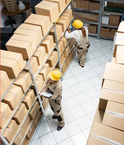 Packaging Inspection