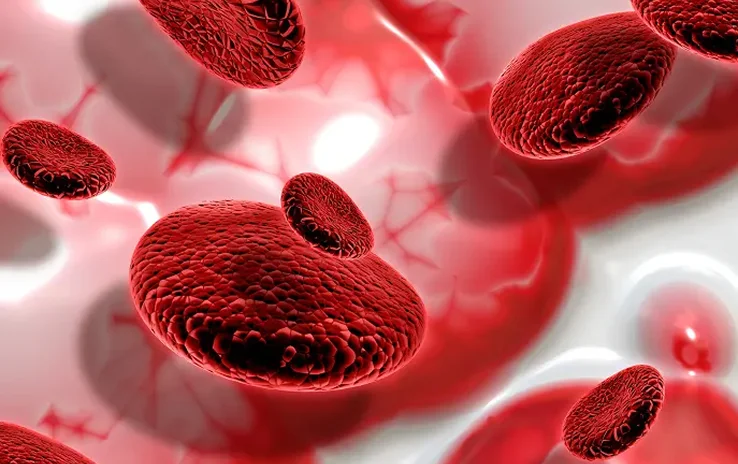 AI-Powered Blood Cell Detection